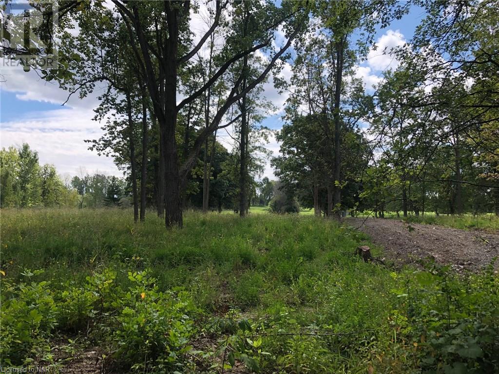 Lot 7 Bertie Street, Fort Erie (334 - Crescent Park), Ontario  L2A 5M4 - Photo 3 - X9411351