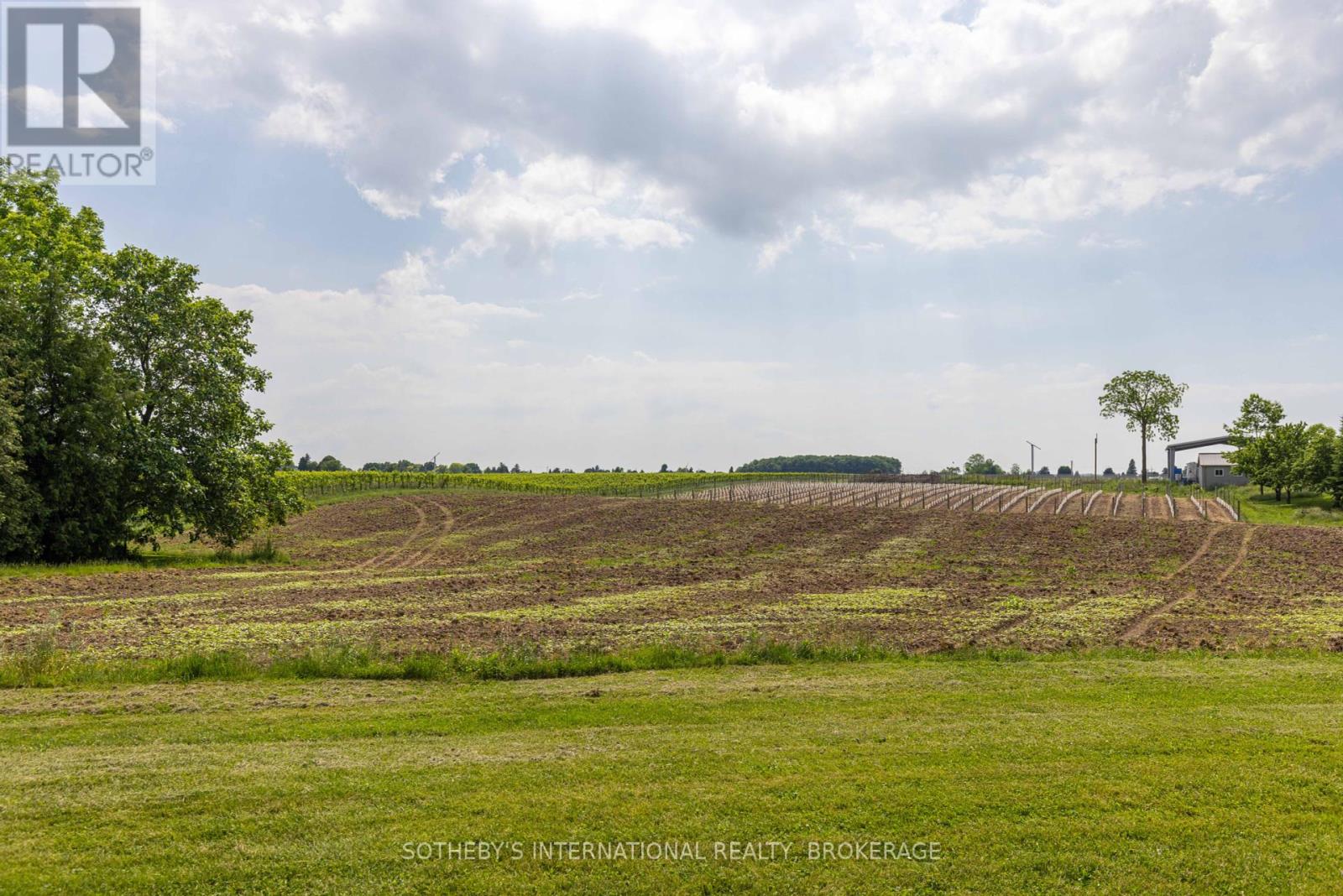 15936 Niagara River Parkway, Niagara-On-The-Lake (103 - River), Ontario  L0S 1J0 - Photo 2 - X11891098