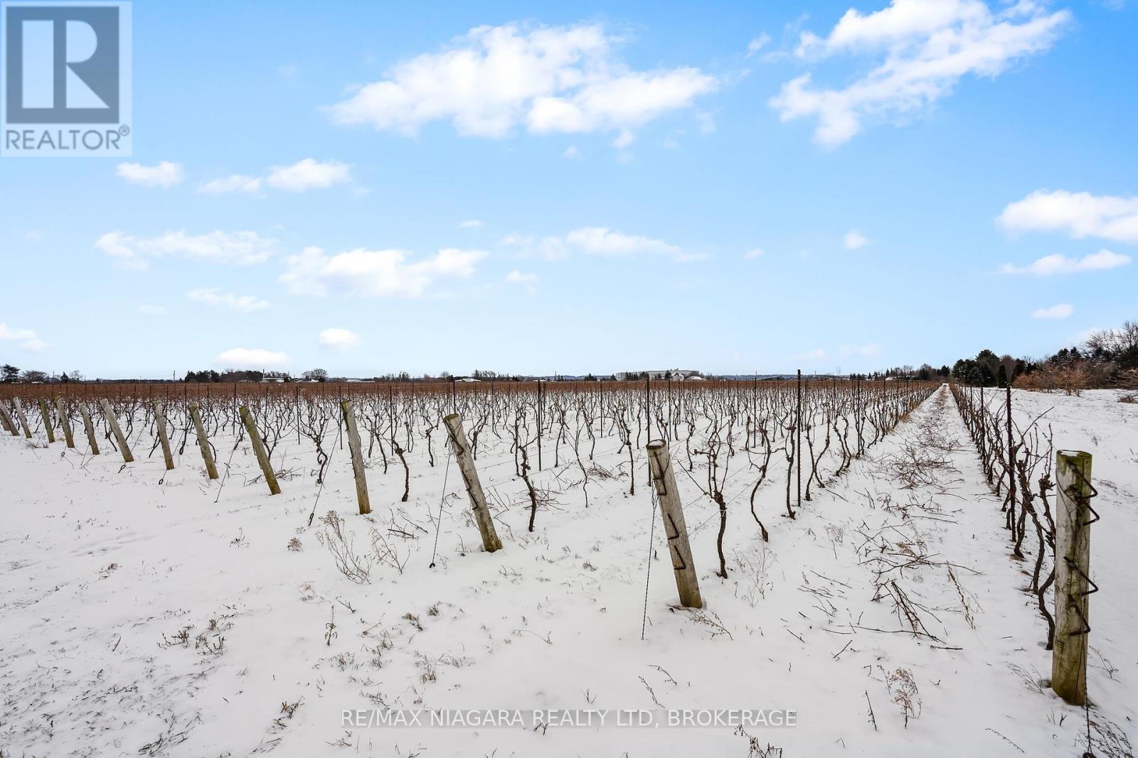 1074 Niagara Stone Road, Niagara-On-The-Lake (102 - Lakeshore), Ontario  L0S 1J0 - Photo 15 - X11949919