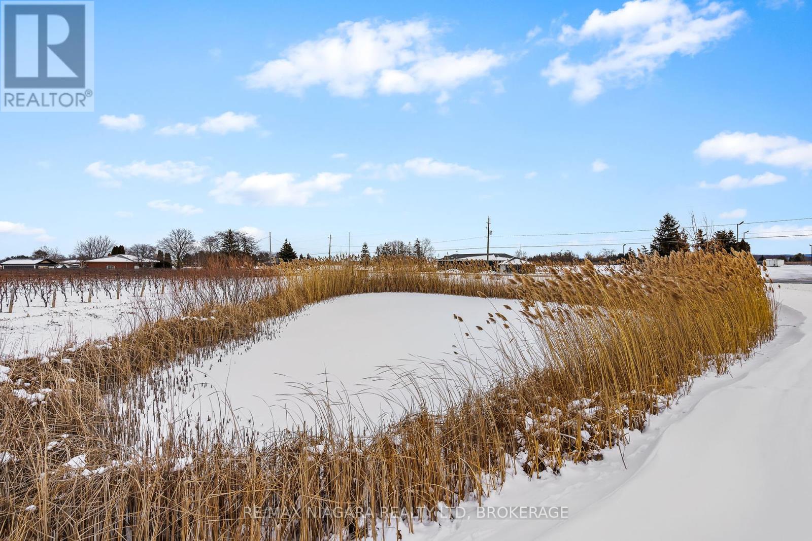 1074 Niagara Stone Road, Niagara-On-The-Lake (102 - Lakeshore), Ontario  L0S 1J0 - Photo 18 - X11949919