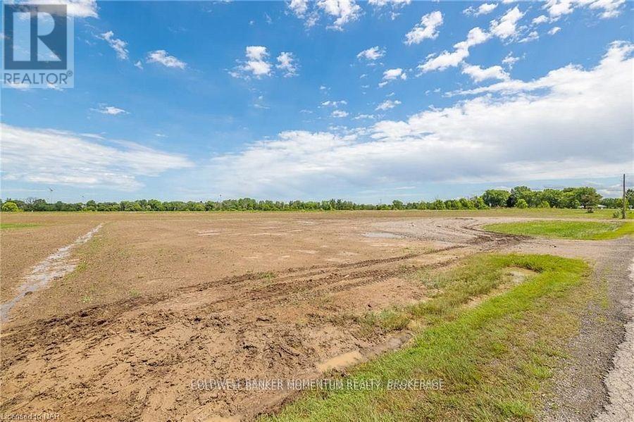 73974 River Road, West Lincoln (058 - Bismark/wellandport), Ontario  L0R 2J0 - Photo 5 - X11963097