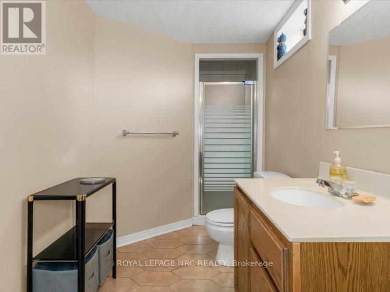 358 Grantham Avenue, St. Catharines (444 - Carlton/bunting), Ontario  L2M 5A6 - Photo 27 - X12006705