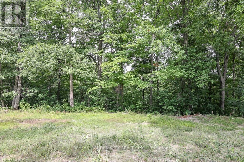 Lot #2 - 3648 Glen Road, Lincoln, Ontario  L0R 1S0 - Photo 15 - X12007813