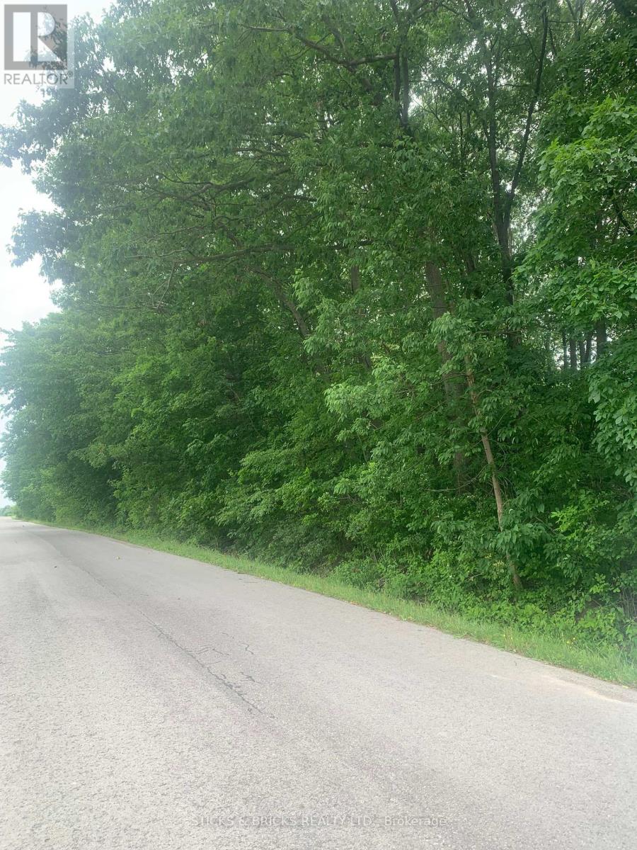 Pt Lt 16 Lyons Creek Road, Niagara Falls, Ontario  L2E 6S6 - Photo 2 - X12238002