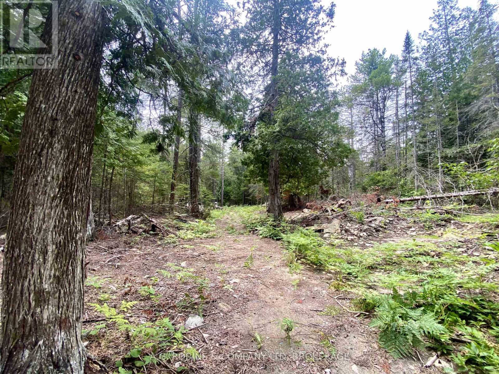 262 Johnsons Harbour Road, Northern Bruce Peninsula, Ontario  N0H 2R0 - Photo 21 - X12365347