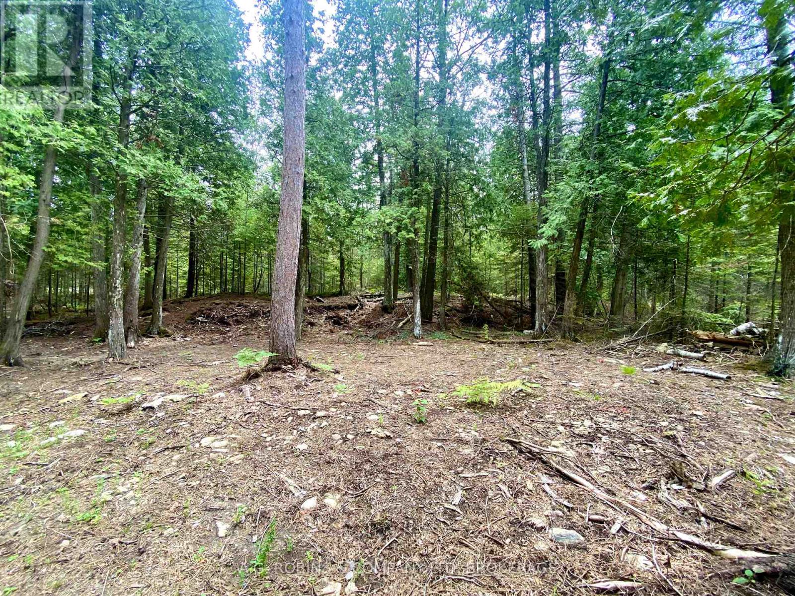 262 Johnsons Harbour Road, Northern Bruce Peninsula, Ontario  N0H 2R0 - Photo 22 - X12365347