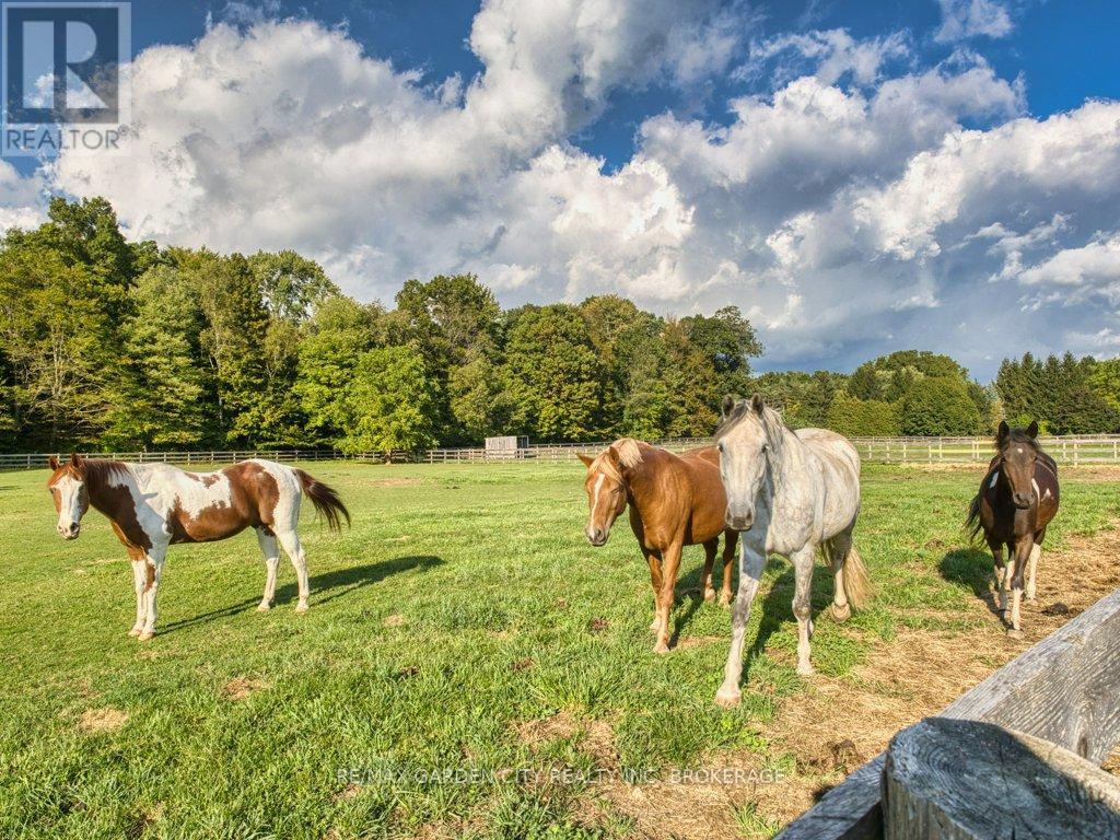 503 Metler Road, Pelham, Ontario  L0S 1M0 - Photo 22 - X12434643