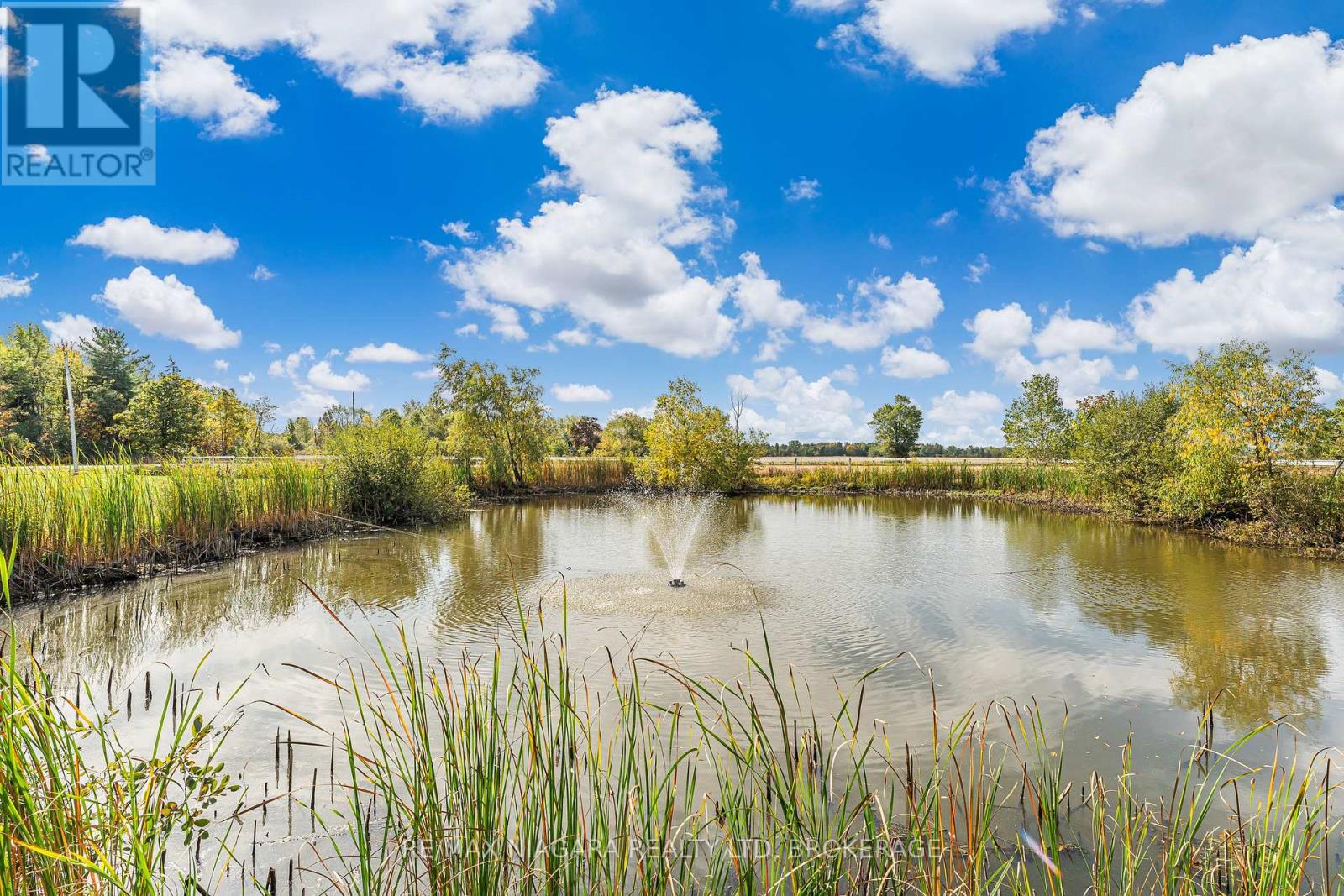 1055 Burger Road, Fort Erie, Ontario  L0S 1N0 - Photo 35 - X12436615