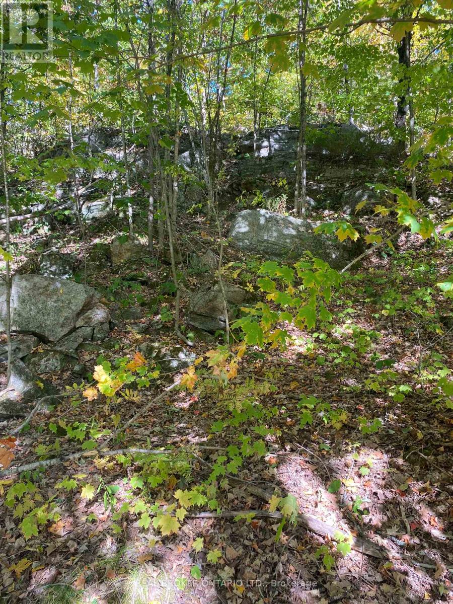 1248 Beiers Road, Gravenhurst, Ontario  P0E 1G0 - Photo 11 - X12442164