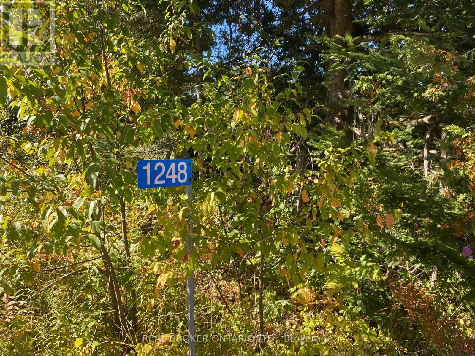 1248 Beiers Road, Gravenhurst, Ontario  P0E 1G0 - Photo 12 - X12442164