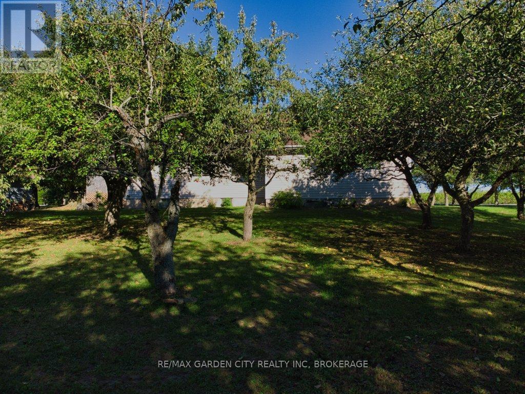 3814 Eleventh Street, Lincoln, Ontario  L0R 1S0 - Photo 39 - X12442293