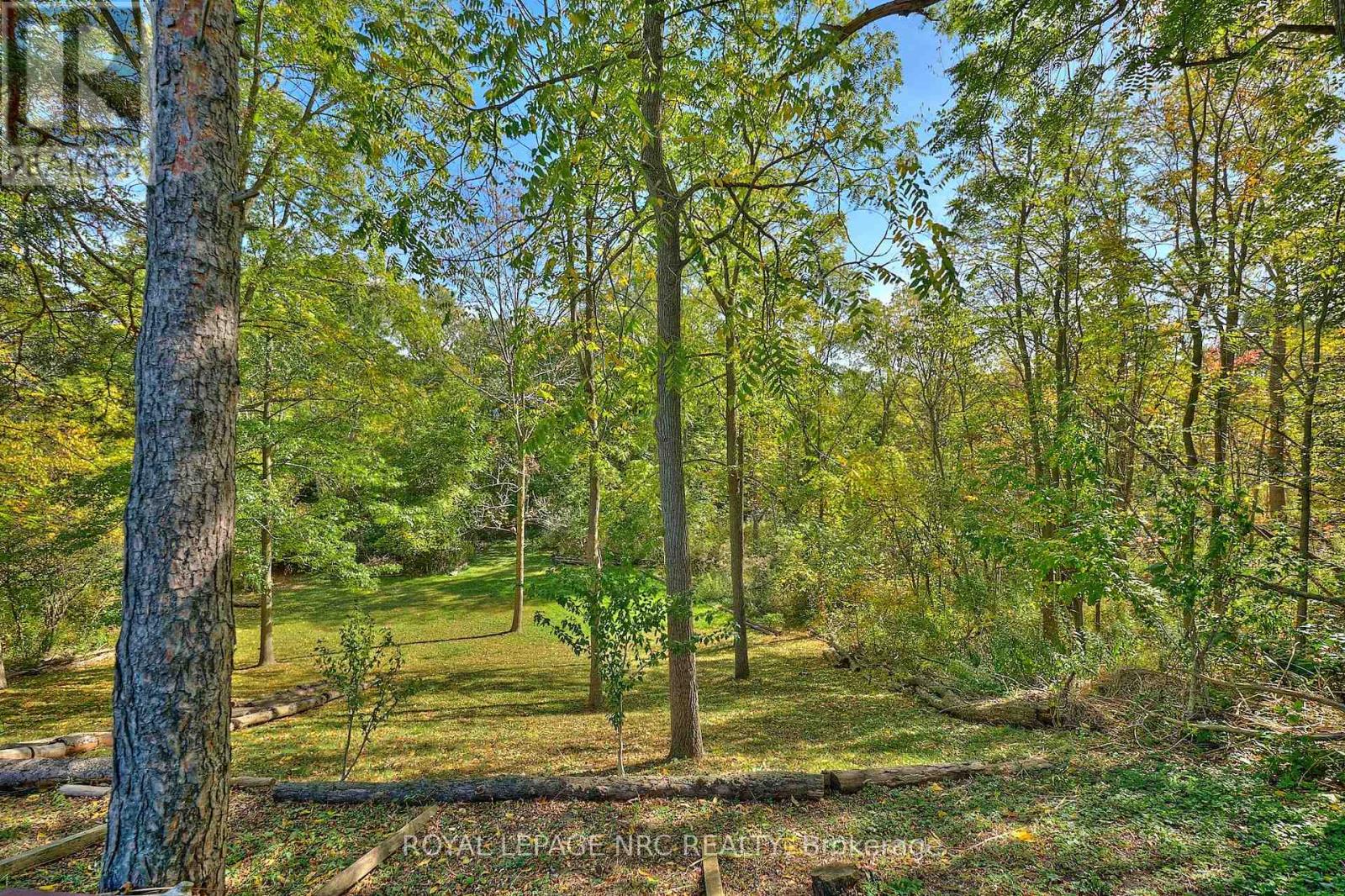 81 Riverview Boulevard, St. Catharines (Glendale/glenridge), Ontario  L2T 3L9 - Photo 16 - X12448078