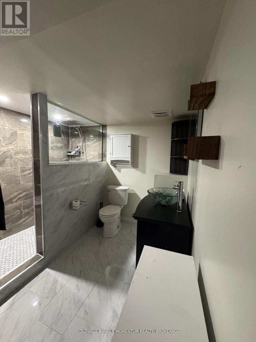 16 Princess Street, St. Catharines, Ontario  L2P 2P9 - Photo 23 - X12478369