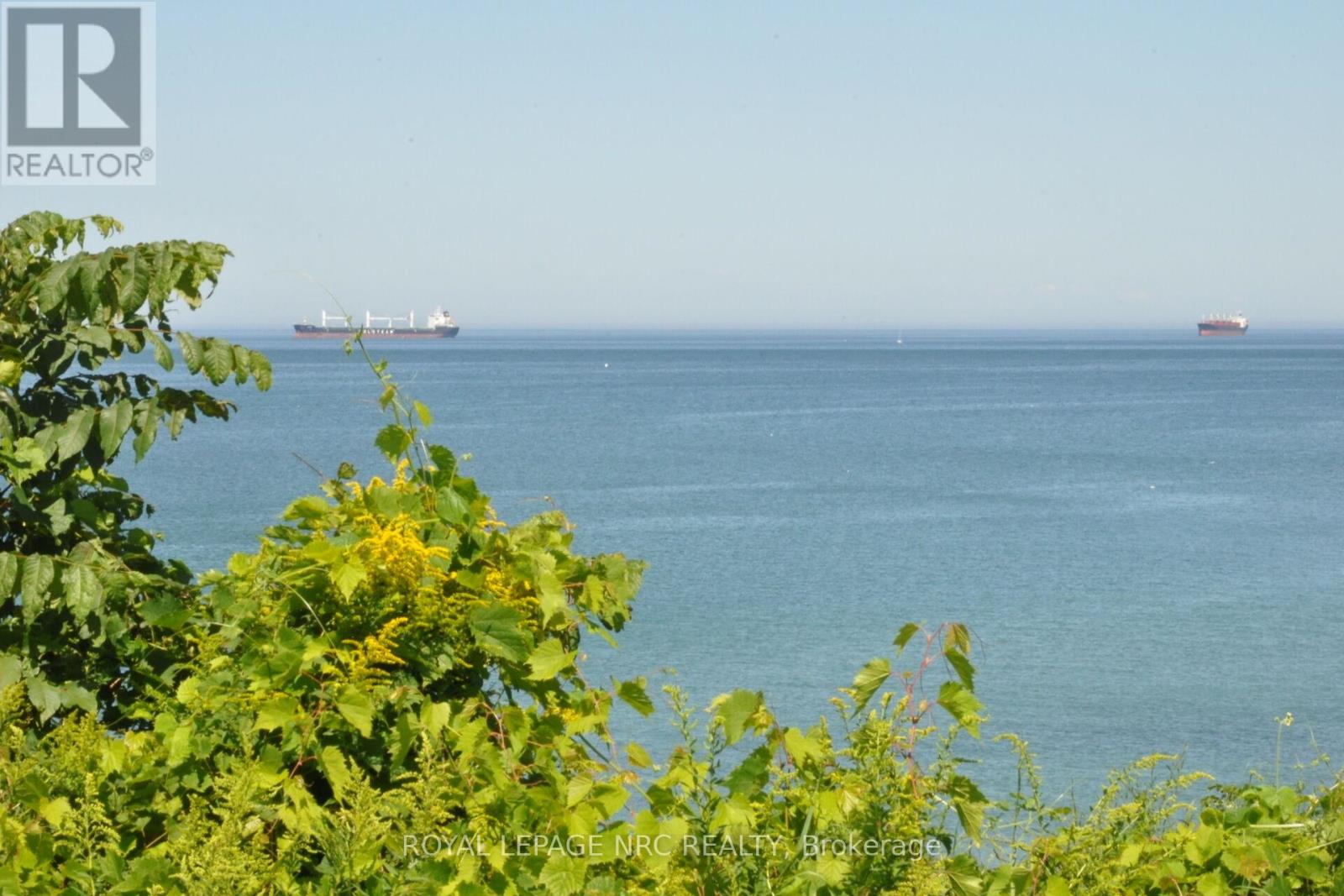 191 Dalhousie Avenue, St. Catharines, Ontario  L2N 4X8 - Photo 42 - X12525294