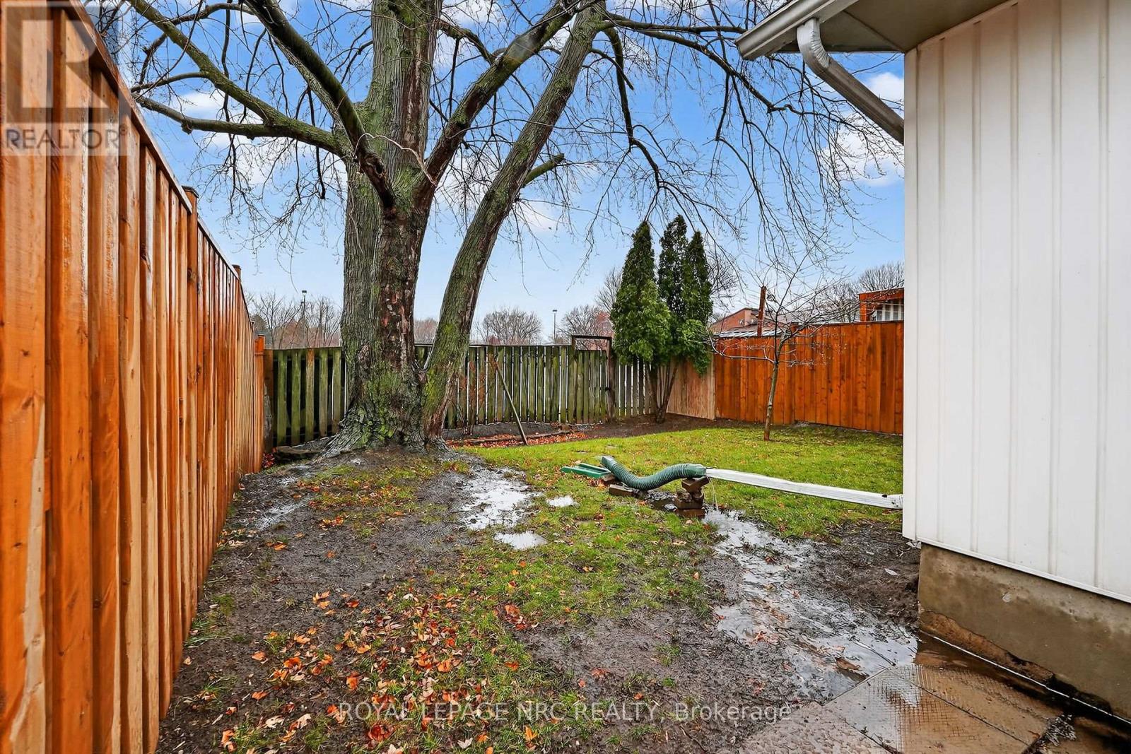 17 Elma Street, St. Catharines, Ontario  L2N 6Z3 - Photo 34 - X12628452